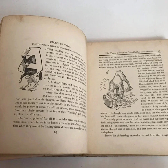 Frances Trego MONTGOMERY / Billy Whiskers' Grandchildren First Edition 1909 - Picture 5 of 12